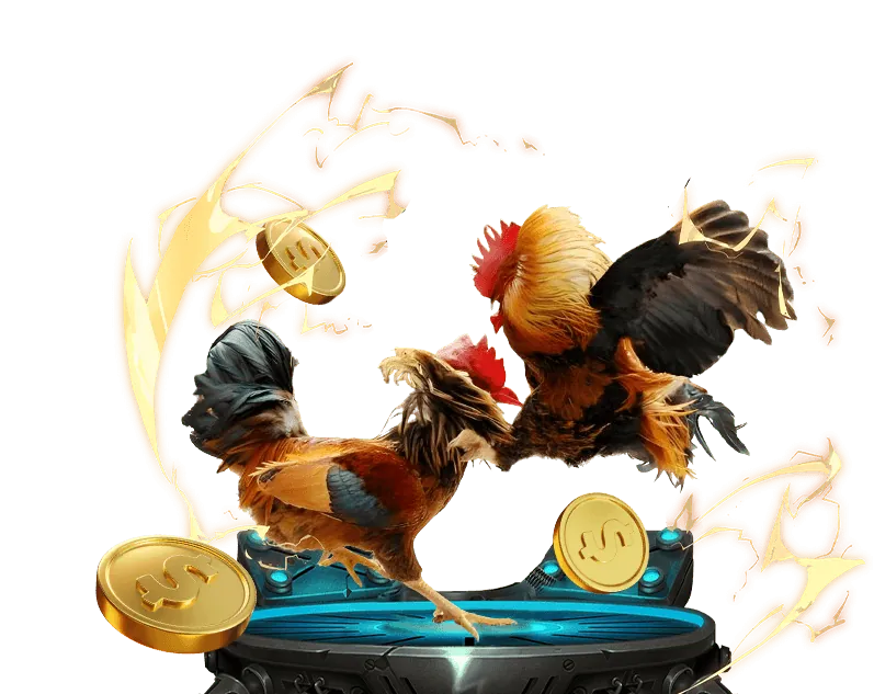 Ưu đãi và khuyến mãi hấp dẫn